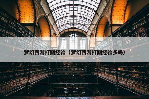 梦幻西游打图经验（梦幻西游打图经验多吗）