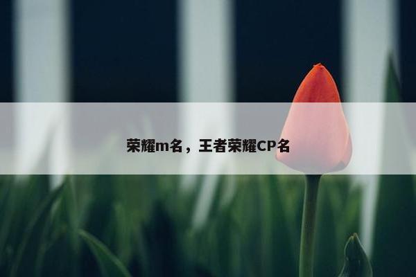 荣耀m名，王者荣耀CP名