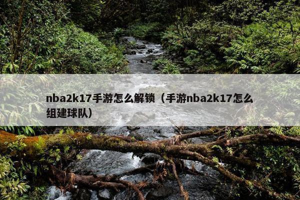 nba2k17手游怎么解锁（手游nba2k17怎么组建球队）