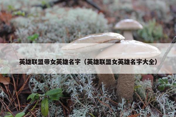 英雄联盟带女英雄名字（英雄联盟女英雄名字大全）