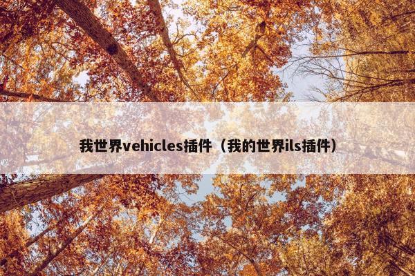 我世界vehicles插件（我的世界ils插件）