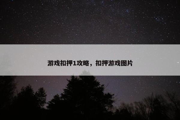 游戏扣押1攻略，扣押游戏图片