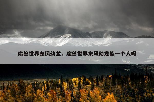 魔兽世界东风幼龙，魔兽世界东风幼龙能一个人吗