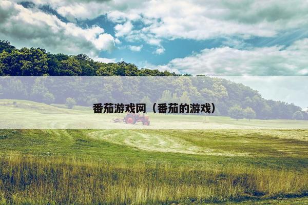 番茄游戏网（番茄的游戏）