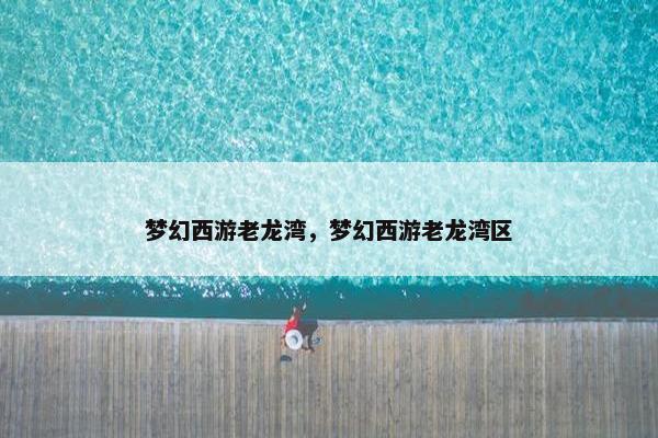 梦幻西游老龙湾，梦幻西游老龙湾区