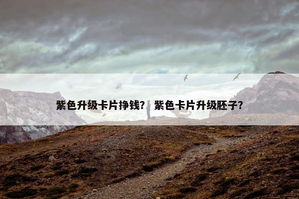 紫色升级卡片挣钱？ 紫色卡片升级胚子？