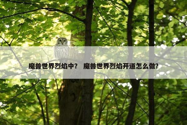 魔兽世界烈焰中？ 魔兽世界烈焰开道怎么做？