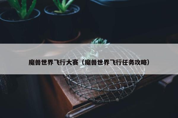 魔兽世界飞行大赛（魔兽世界飞行任务攻略）