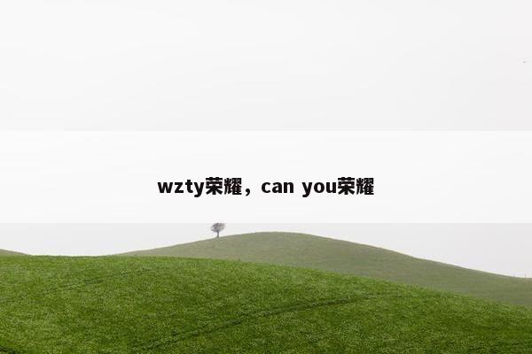 wzty荣耀，can you荣耀