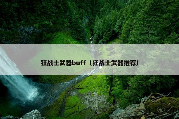 狂战士武器buff（狂战士武器推荐）