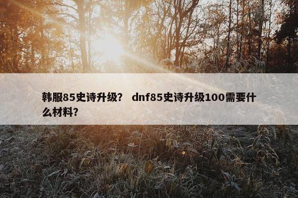 韩服85史诗升级？ dnf85史诗升级100需要什么材料？