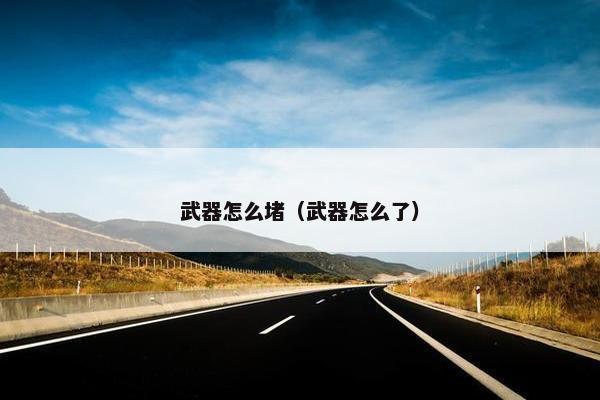 武器怎么堵（武器怎么了）