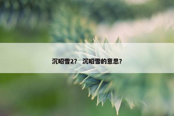 沉昭雪2？ 沉昭雪的意思？