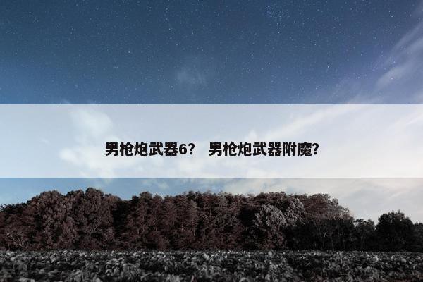 男枪炮武器6？ 男枪炮武器附魔？