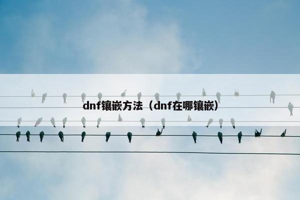 dnf镶嵌方法（dnf在哪镶嵌）