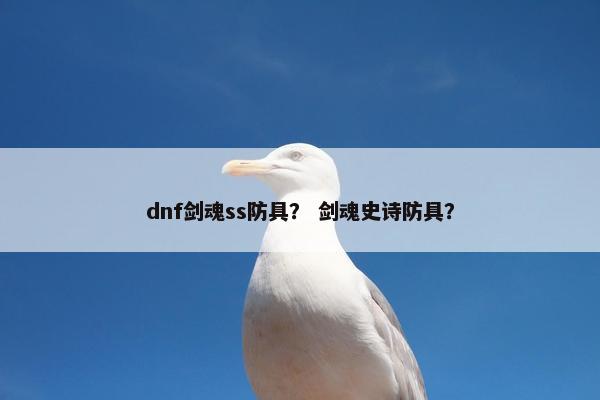 dnf剑魂ss防具？ 剑魂史诗防具？