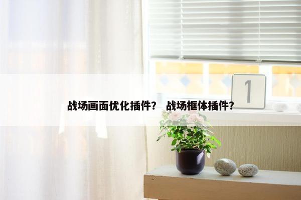 战场画面优化插件？ 战场框体插件？