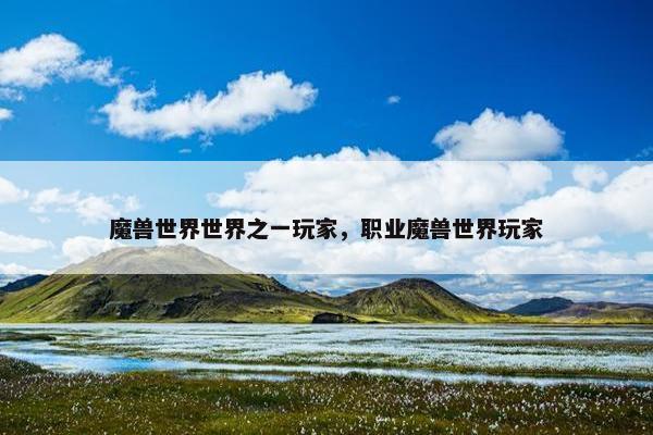 魔兽世界世界之一玩家，职业魔兽世界玩家