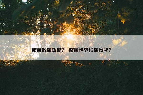 魔兽收集攻略？ 魔兽世界搜集遗物？