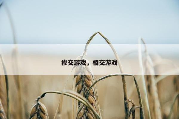 掺交游戏，相交游戏