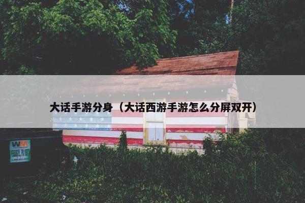 大话手游分身（大话西游手游怎么分屏双开）