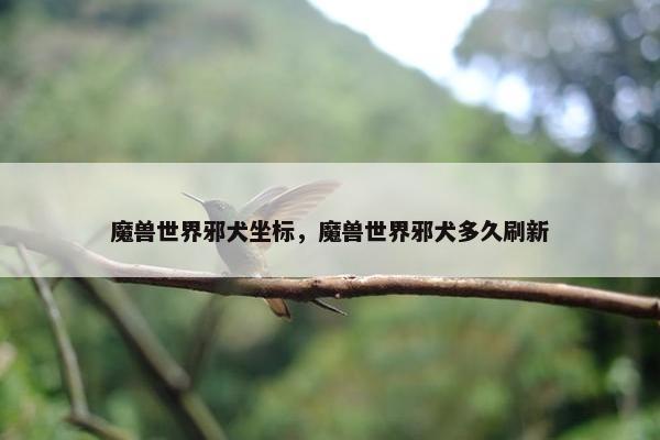 魔兽世界邪犬坐标，魔兽世界邪犬多久刷新
