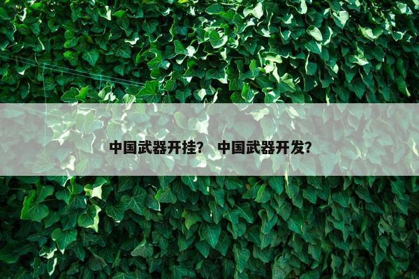 中国武器开挂？ 中国武器开发？