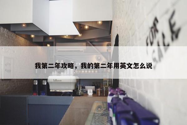 我第二年攻略，我的第二年用英文怎么说