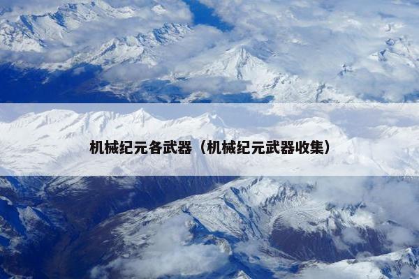 机械纪元各武器（机械纪元武器收集）