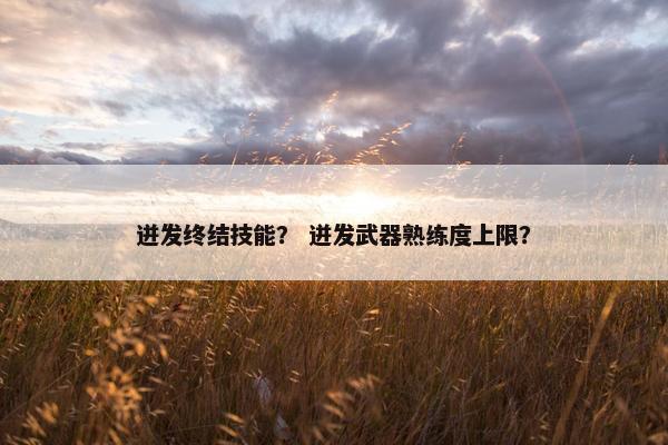 迸发终结技能？ 迸发武器熟练度上限？