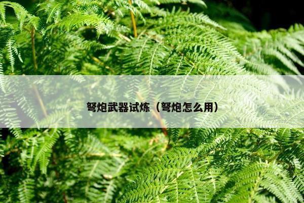 弩炮武器试炼（弩炮怎么用）
