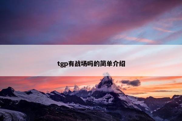 tgp有战场吗的简单介绍