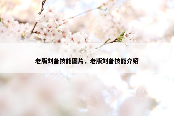 老版刘备技能图片，老版刘备技能介绍