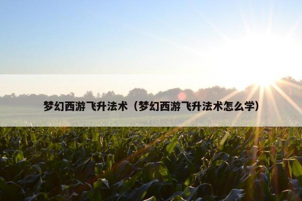 梦幻西游飞升法术（梦幻西游飞升法术怎么学）