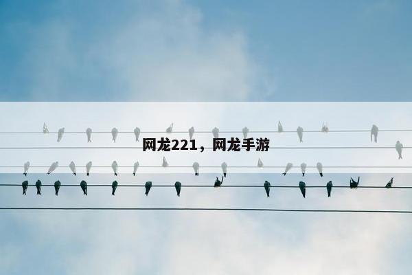 网龙221，网龙手游