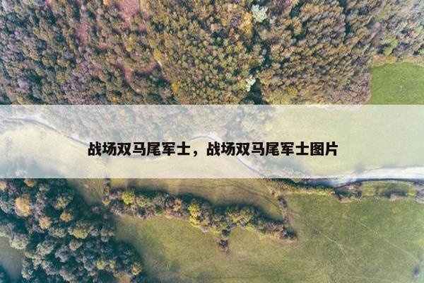 战场双马尾军士，战场双马尾军士图片