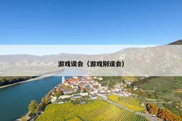游戏误会（游戏别误会）