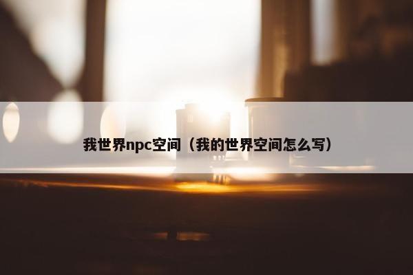 我世界npc空间（我的世界空间怎么写）