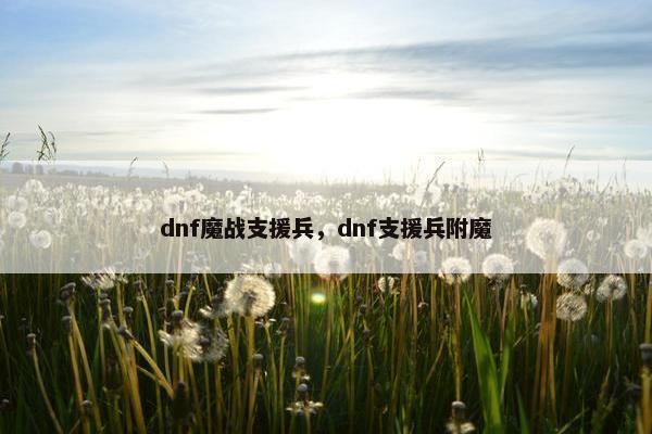dnf魔战支援兵，dnf支援兵附魔