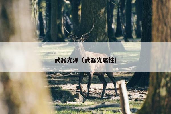 武器光泽（武器光属性）