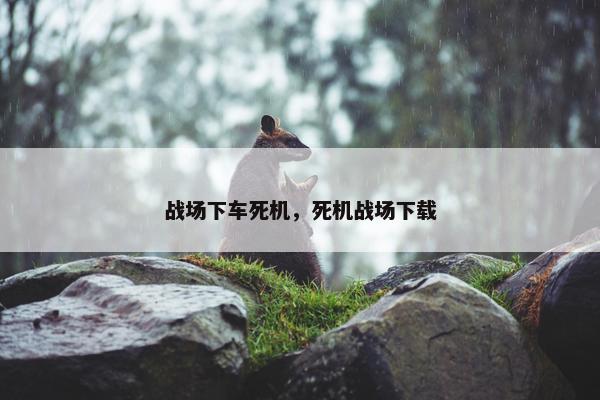 战场下车死机，死机战场下载