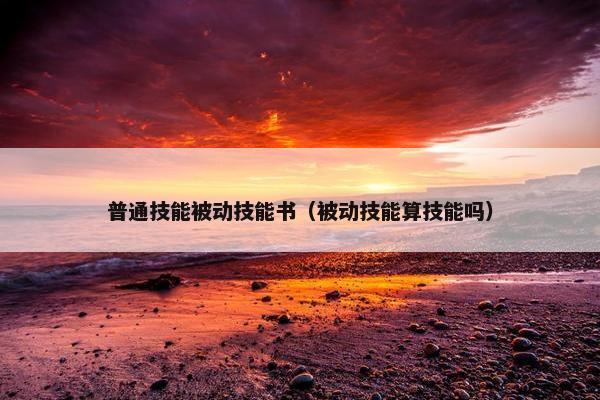 普通技能被动技能书（被动技能算技能吗）