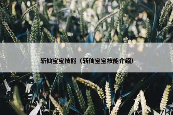 斩仙宝宝技能（斩仙宝宝技能介绍）