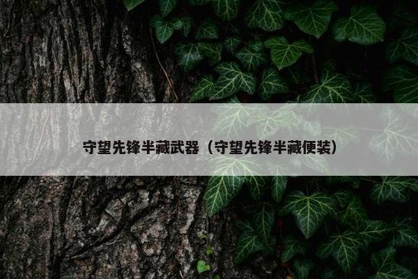 守望先锋半藏武器（守望先锋半藏便装）