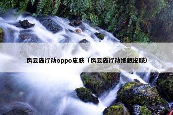 风云岛行动oppo皮肤（风云岛行动绝版皮肤）