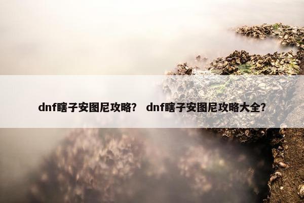 dnf瞎子安图尼攻略？ dnf瞎子安图尼攻略大全？
