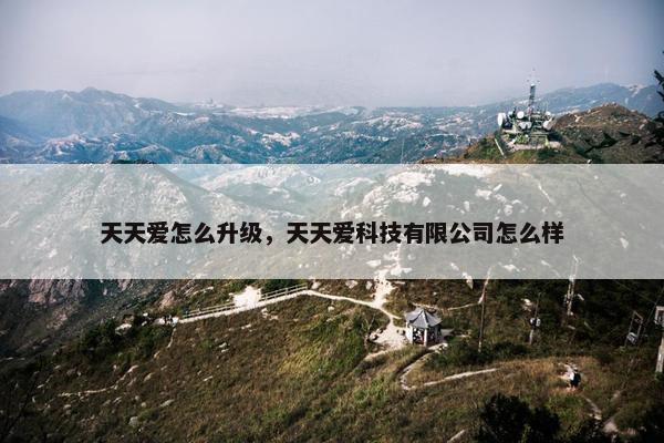天天爱怎么升级，天天爱科技有限公司怎么样