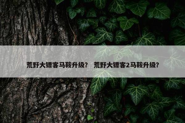 荒野大镖客马鞍升级？ 荒野大镖客2马鞍升级？