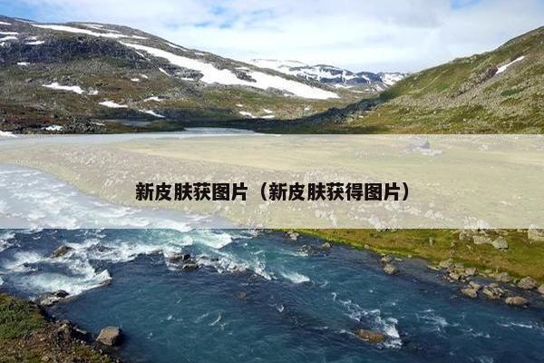 新皮肤获图片（新皮肤获得图片）