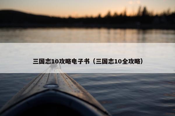 三国志10攻略电子书（三国志10全攻略）
